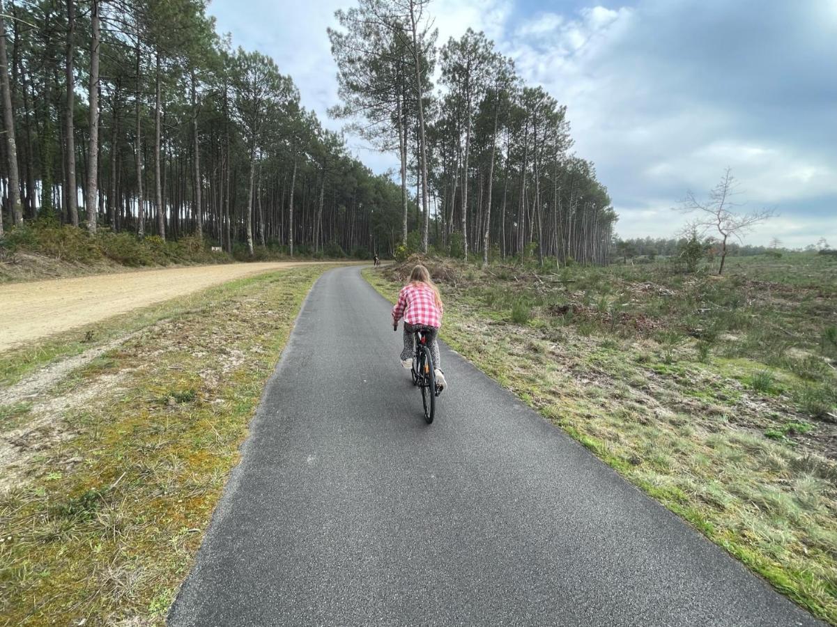 « Aux Bonheurs Landais » Linxe Exterior foto